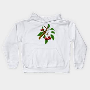 Cherry Branch Kids Hoodie